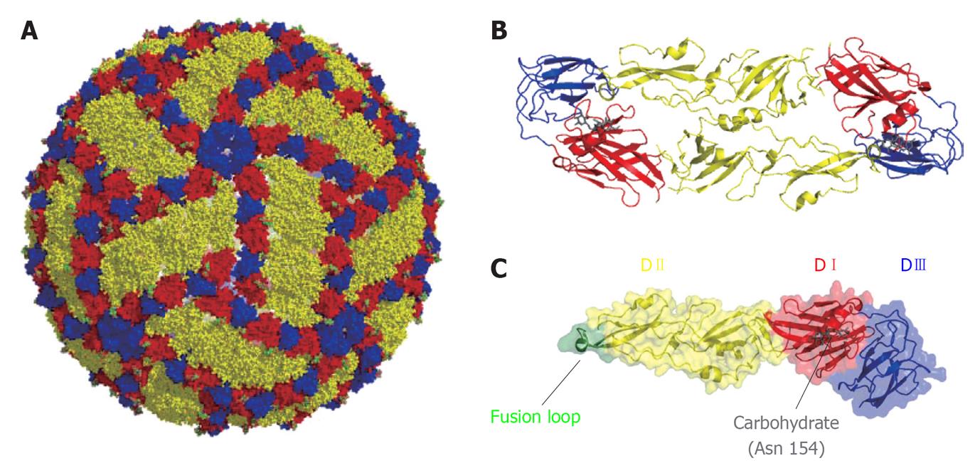 weet nile virus