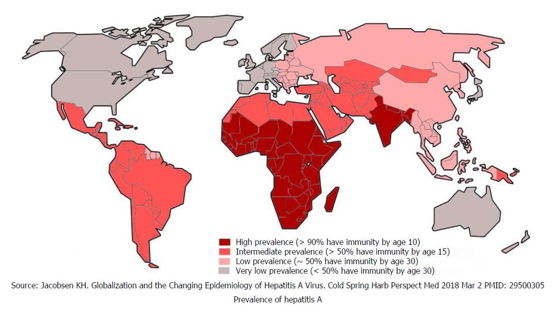 Types Of Viral Hepatitis Chart