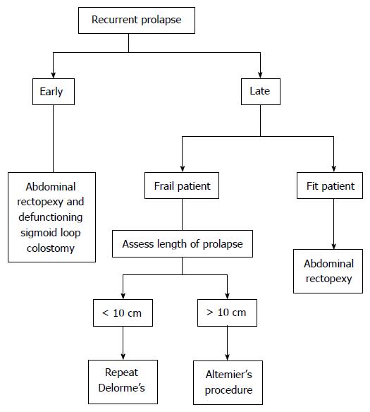 What Operation For Recurrent Rectal Prolapse After Previous Delorme S Procedure A Practical Reality