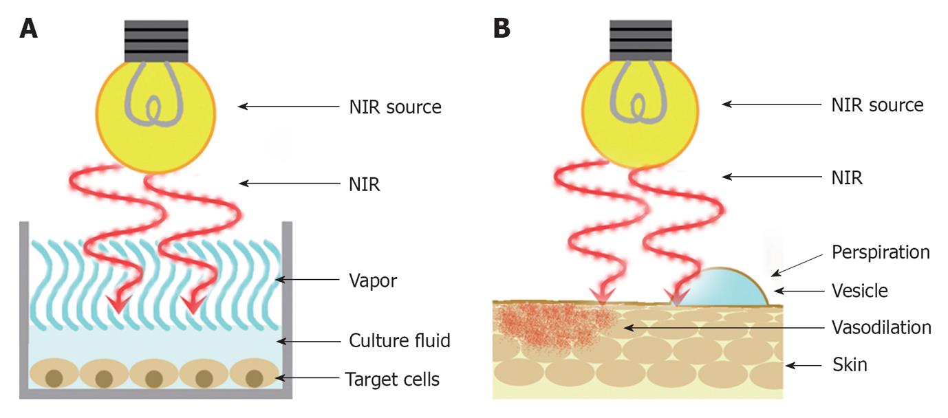 Can Infrared Damage Cells?