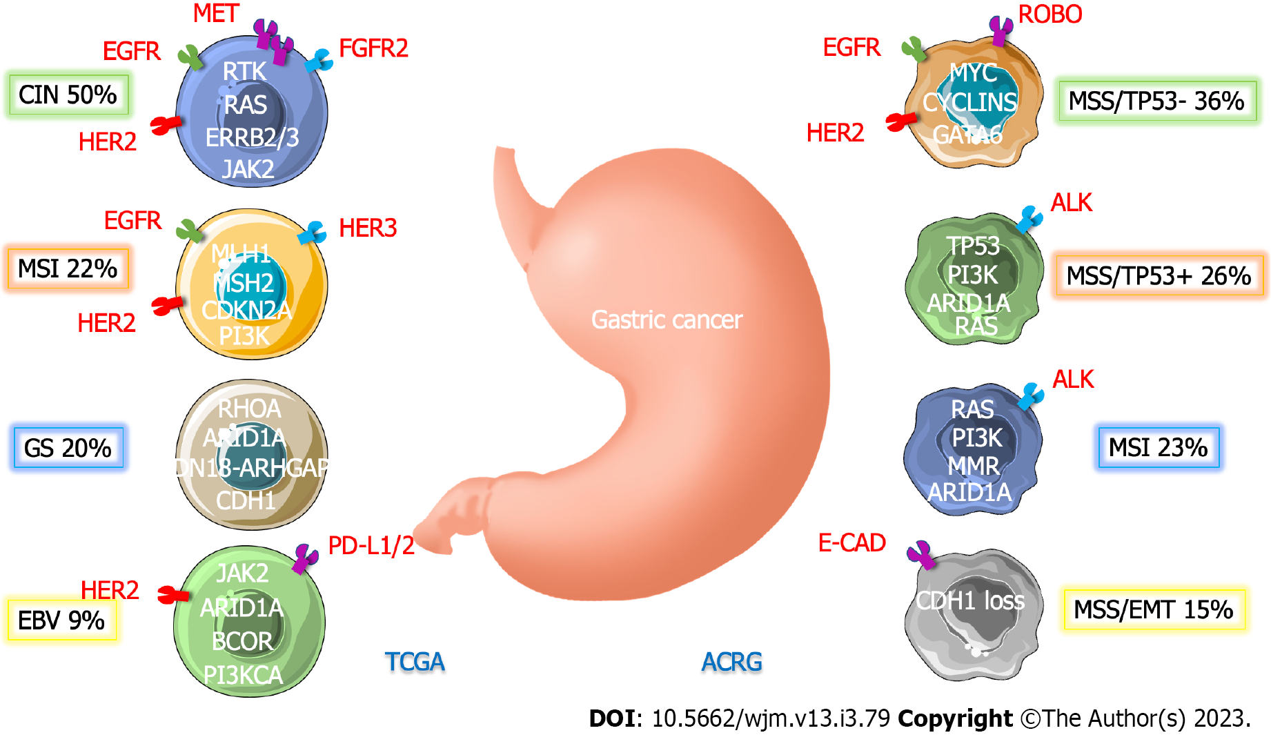 Immunotherapy For Advanced Gastric Cancer