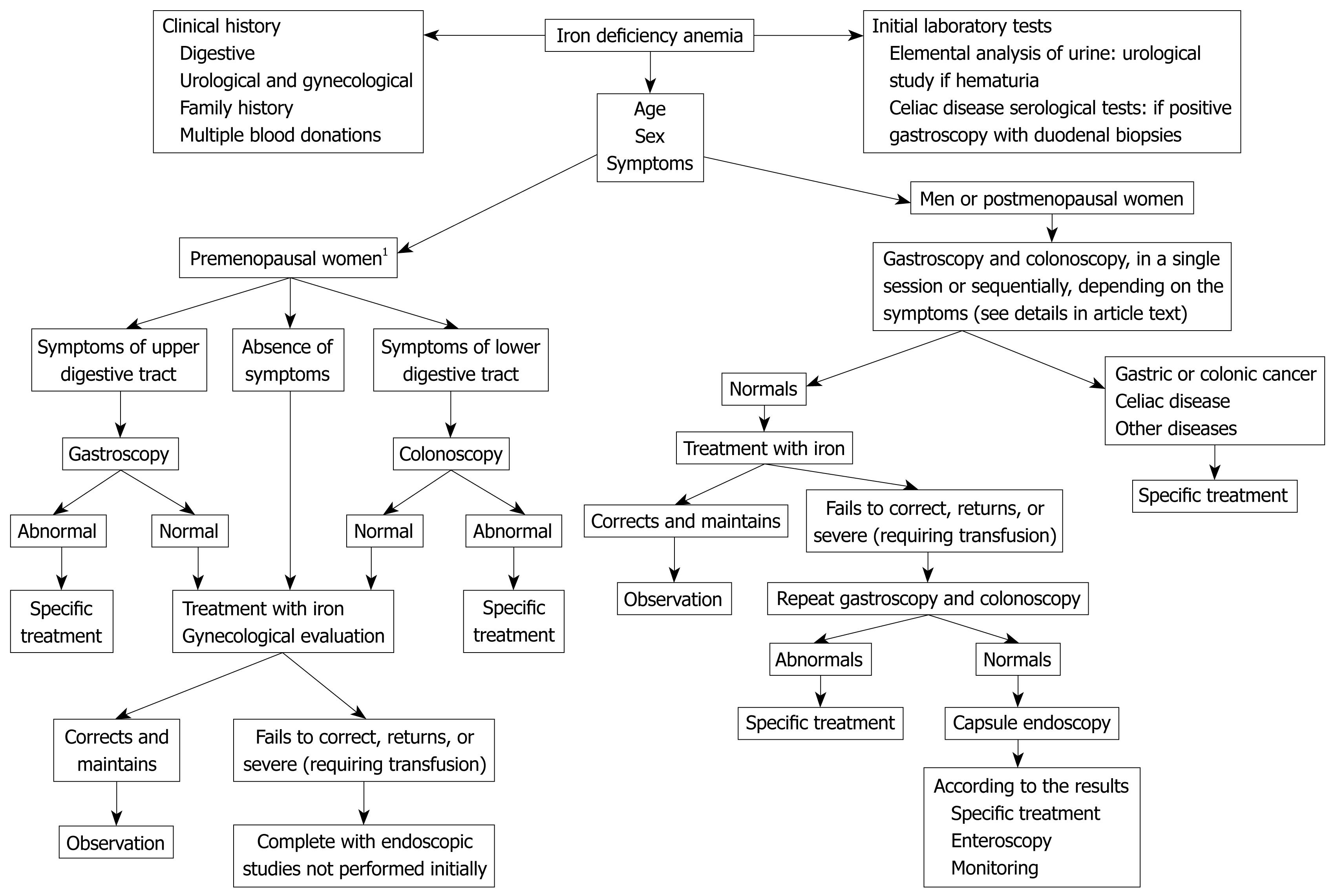 Diagnosing Anemia Chart