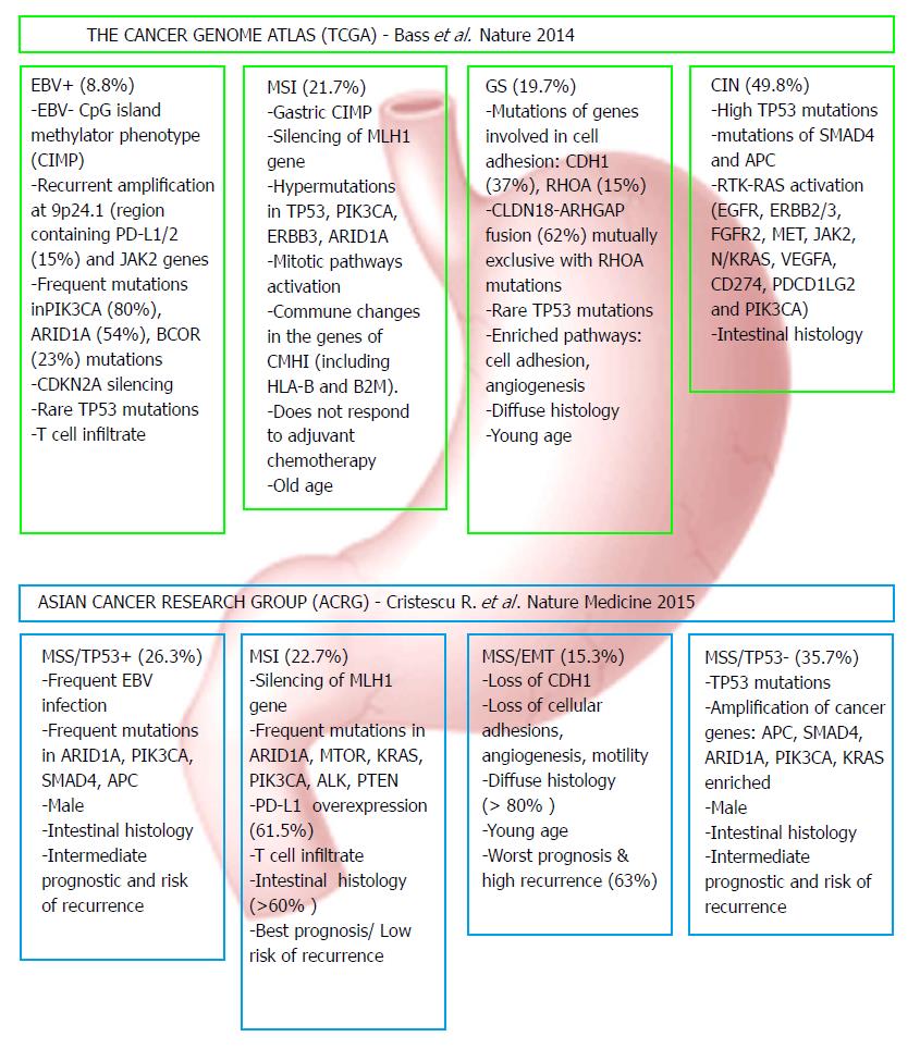 gastric cancer molecular subtypes tratament papilom