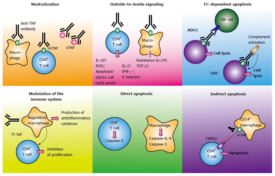 Predictors of anti-TNF treatment failure in anti-TNF-naive