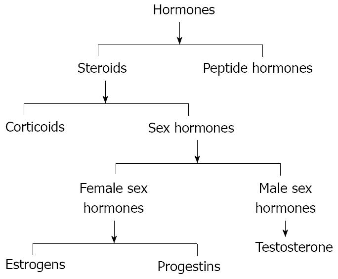Role Of Sex Hormones In The Modulation Of Cholangiocyte Function