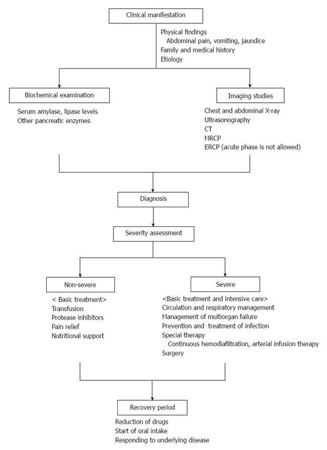 Acute Pancreatitis In Children And Adolescents