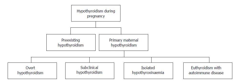 Thyroid Levels Pregnancy Chart