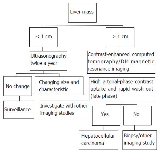 Liver Tumor Size Chart