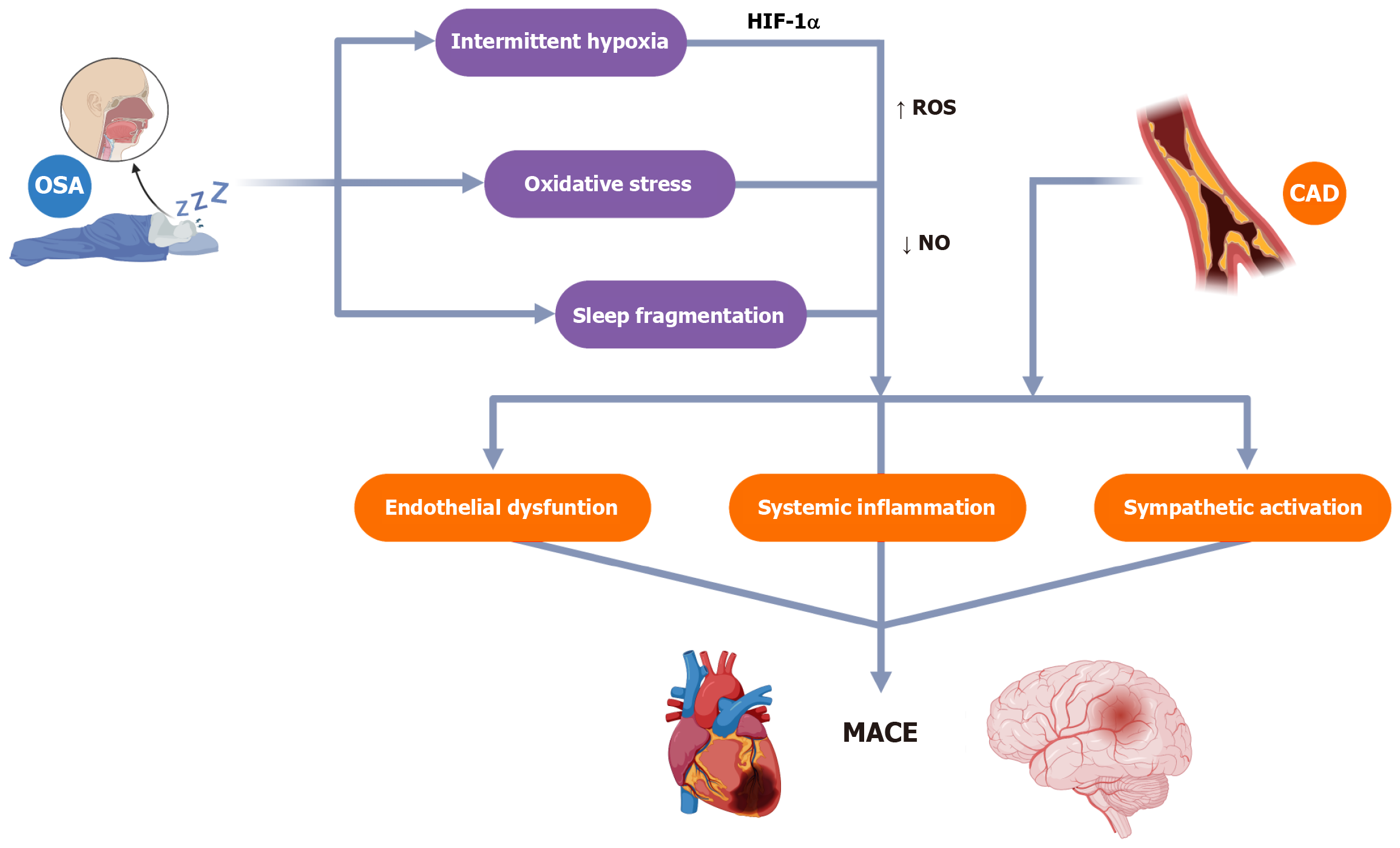 Figure 1 Figure 1
