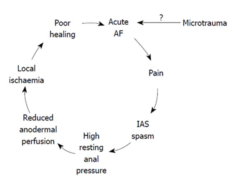 Identifying The Best Therapy For Chronic Anal Fissure