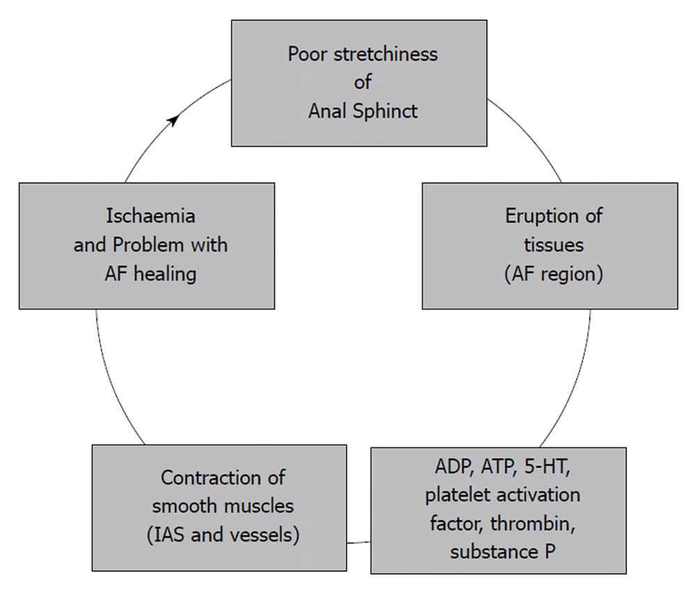 Identifying The Best Therapy For Chronic Anal Fissure   WJGPT 2 9 G002 