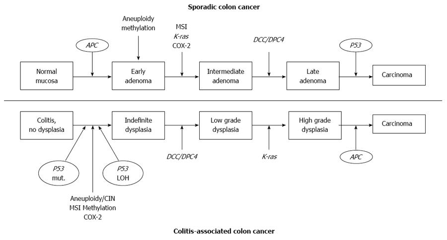 colorectal cancer ibd respiratie urat mirositoare tratament medicamentos