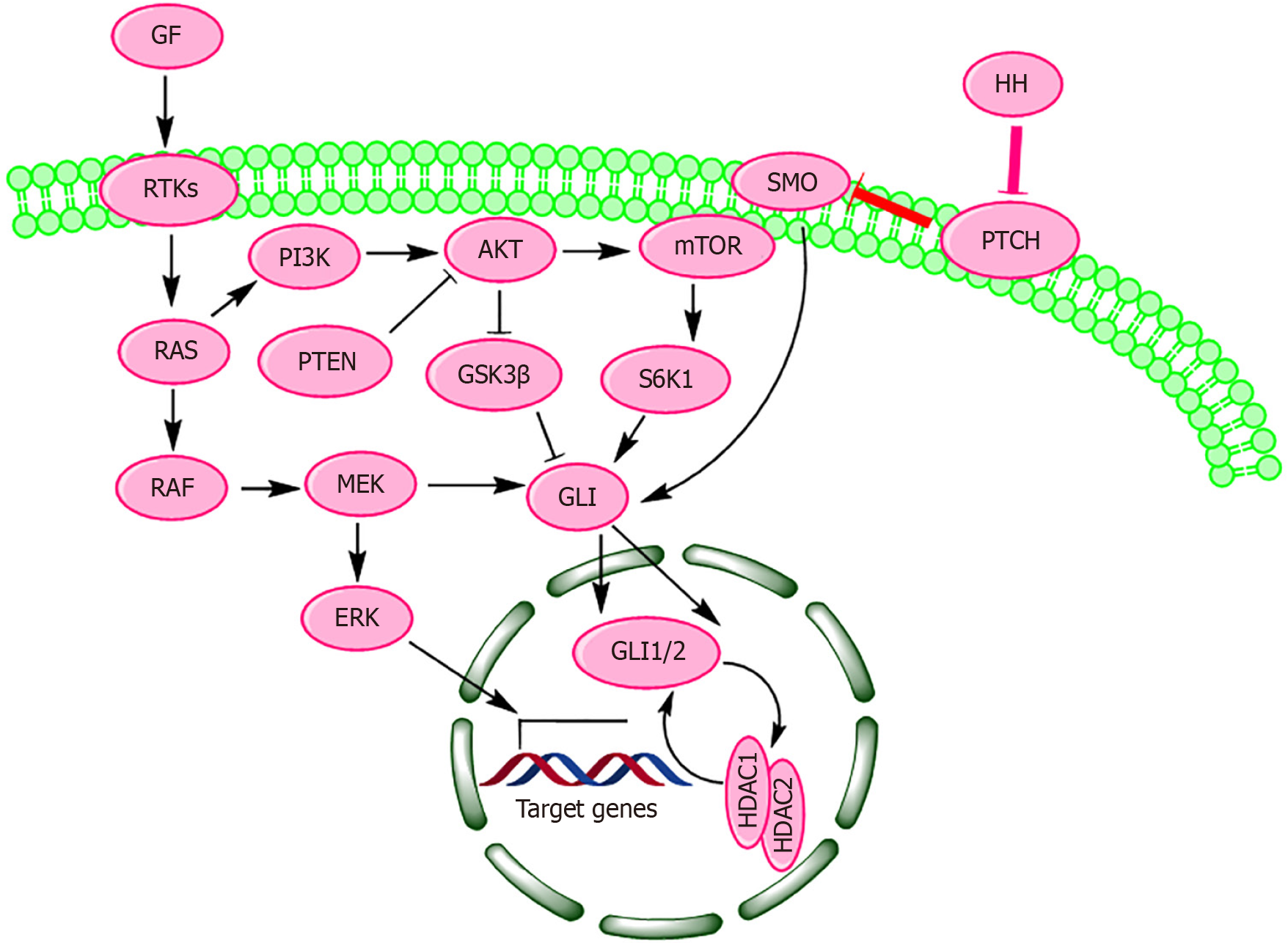 Figure 1 Figure 1