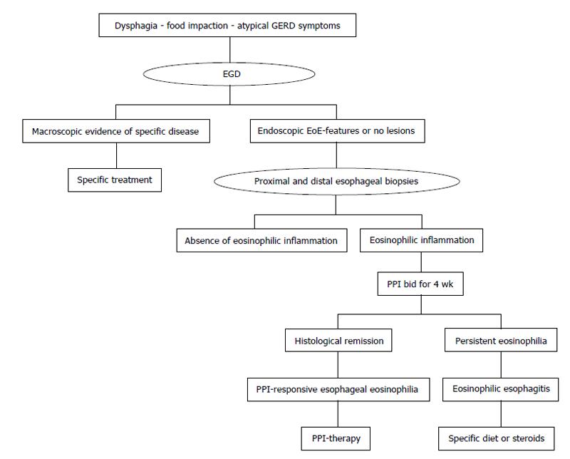 Pathophysiology Flow Chart