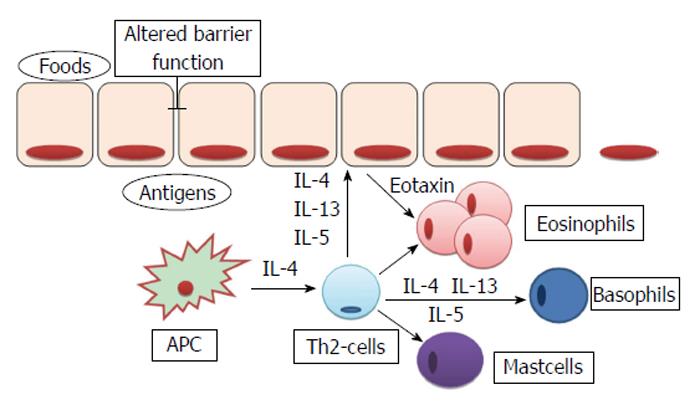 eosinophilic esophagitis pathogenesis