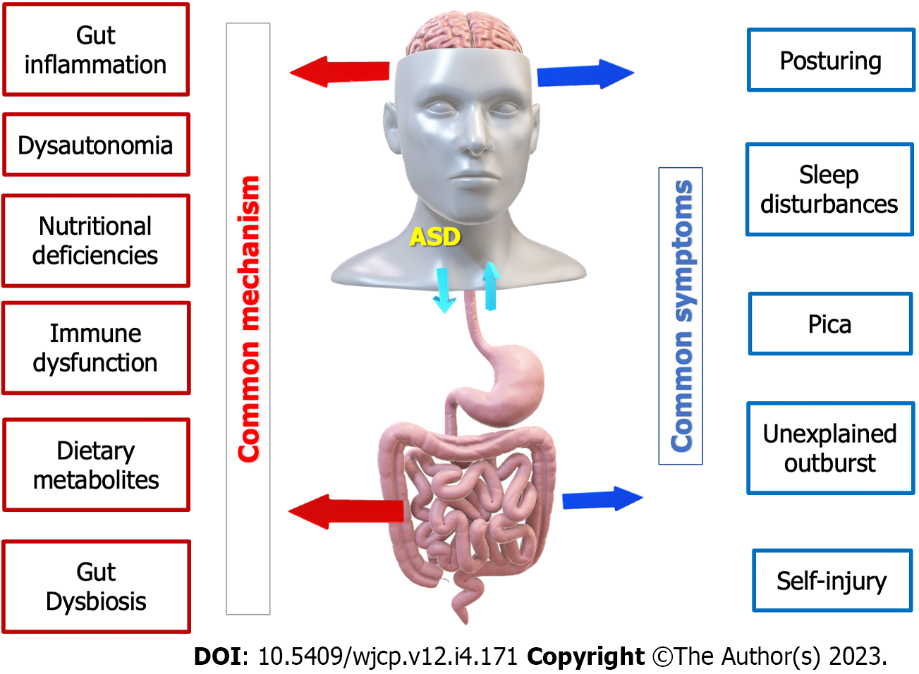 Role of gastrointestinal health in managing children with autism spectrum  disorder