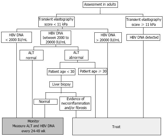 hepatitis b treatment algorithm