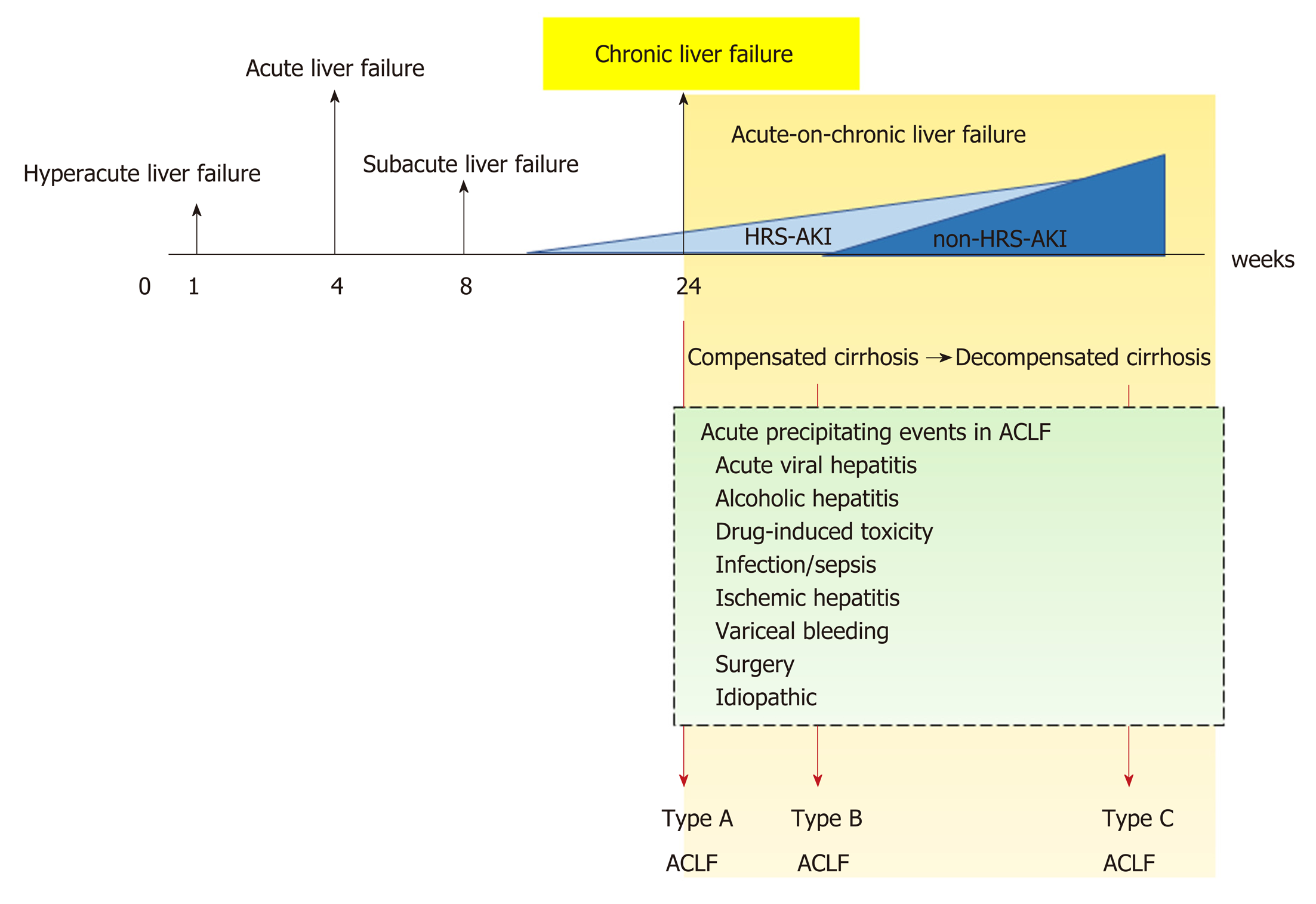 Acute Kidney Injury Spectrum In Patients With Chronic Liver Disease Where Do We Stand