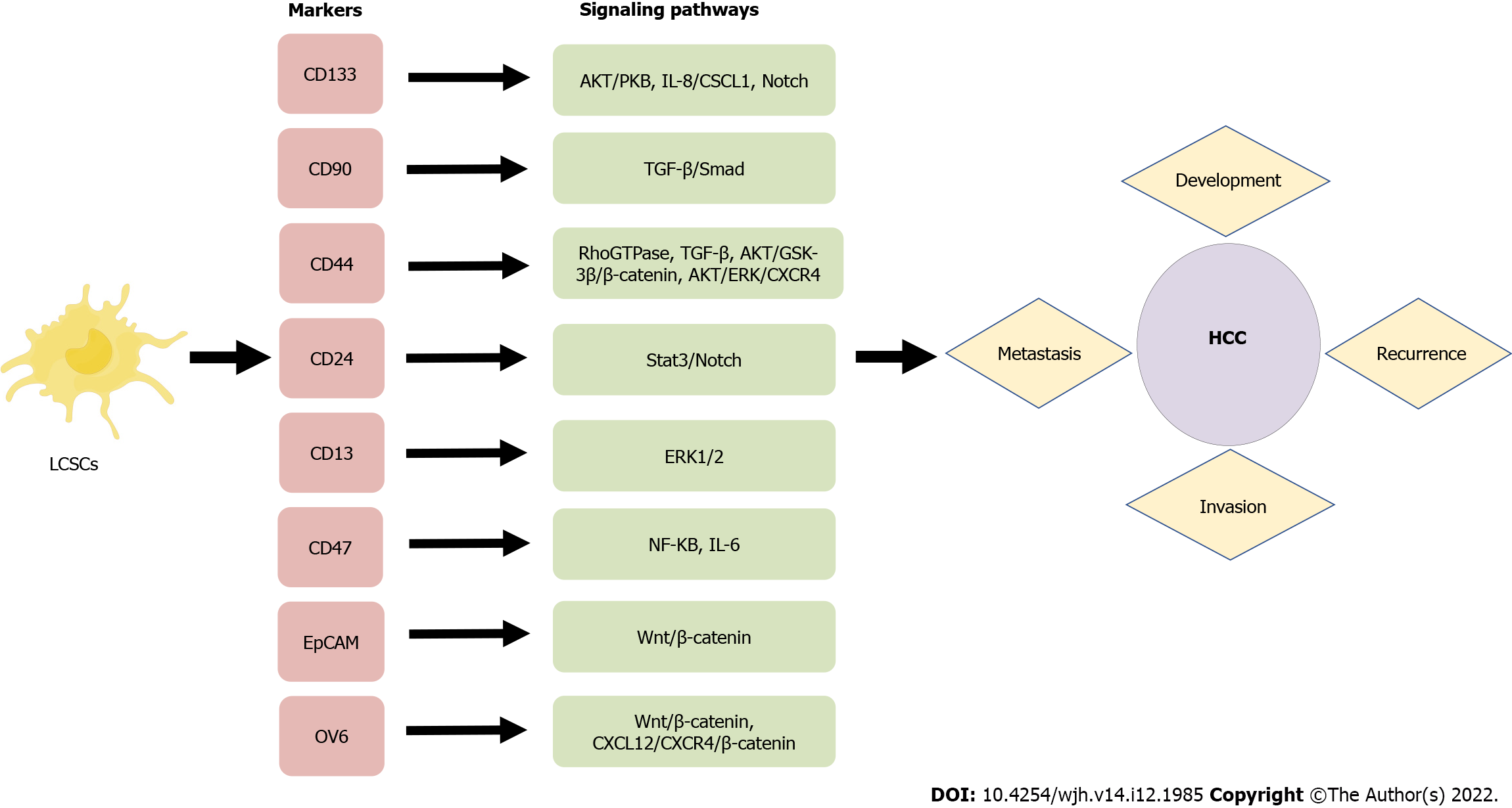 Role of microRNA-regulated cancer stem cells in recurrent 