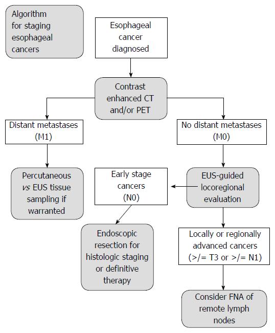 Esophageal Cancer Staging Chart