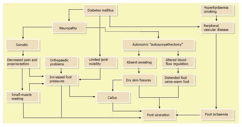 Leg Ulcer Assessment Chart