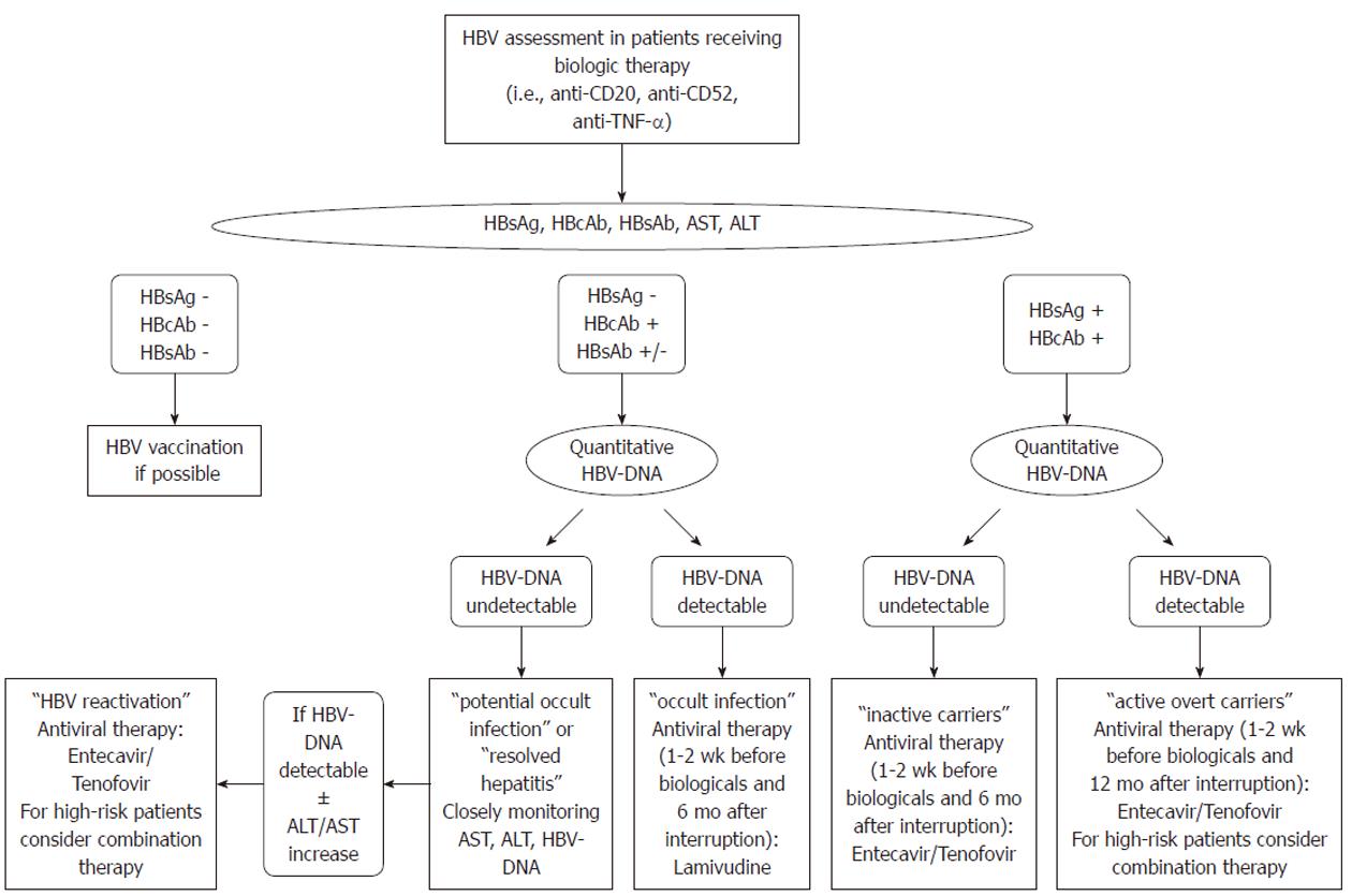 Current Trends In Management Of Hepatitis B Virus Reactivation In