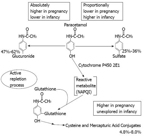Infants Acetaminophen Concentration Change Chart