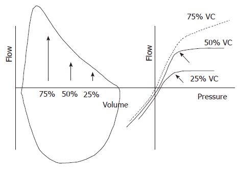 Spirometry Normal Values Chart