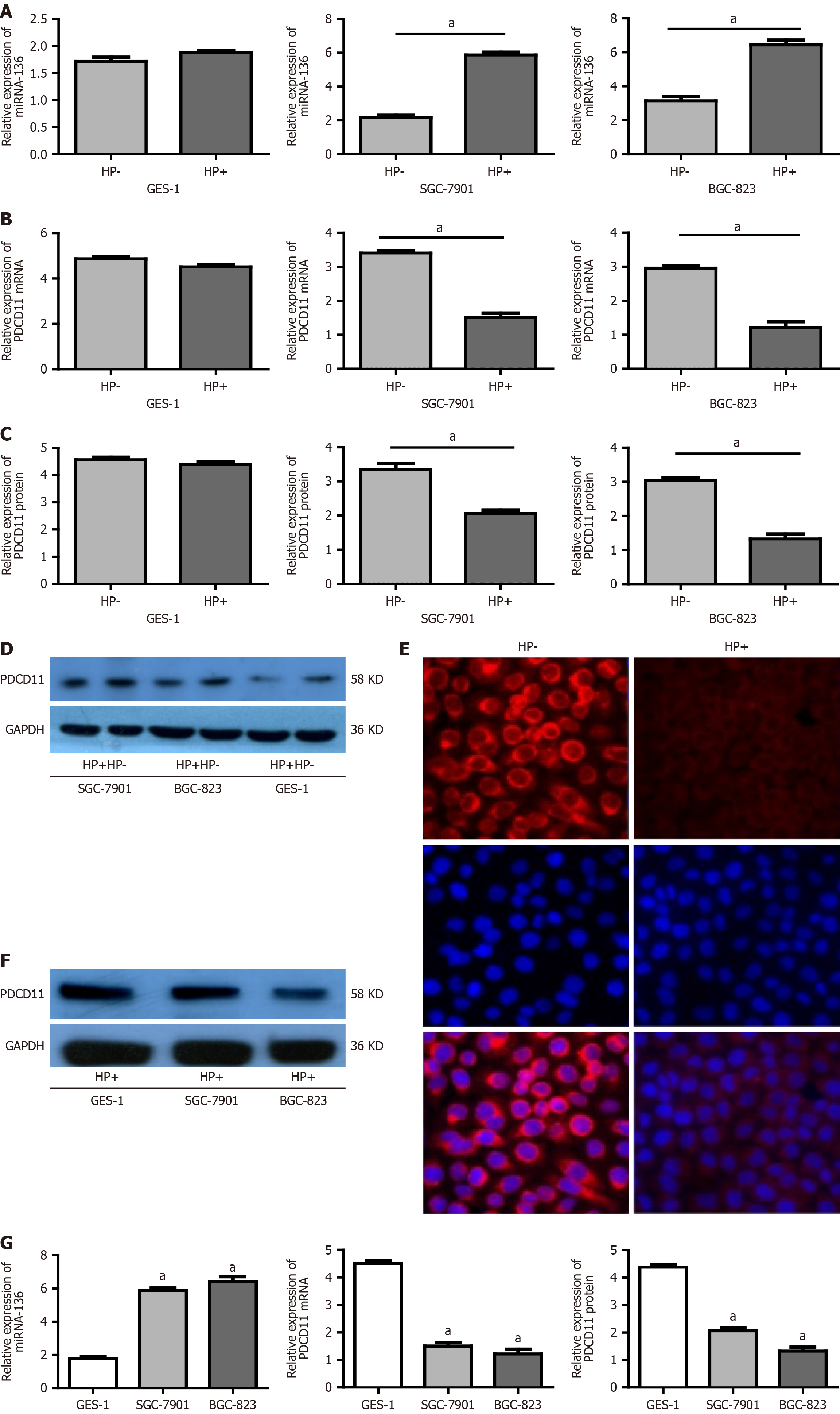 Figure 2 Figure 2