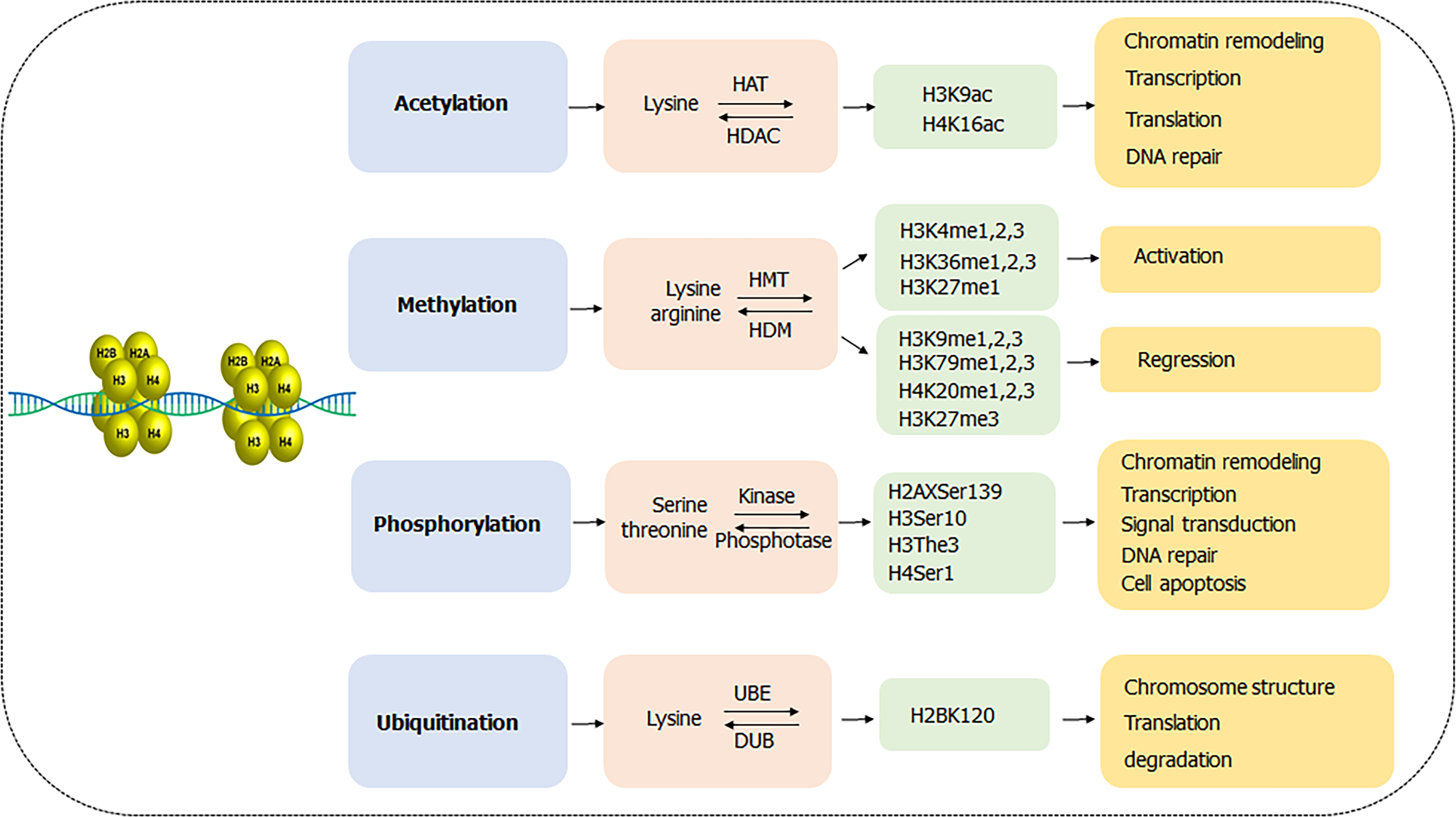 Gastric cancer: An epigenetic view