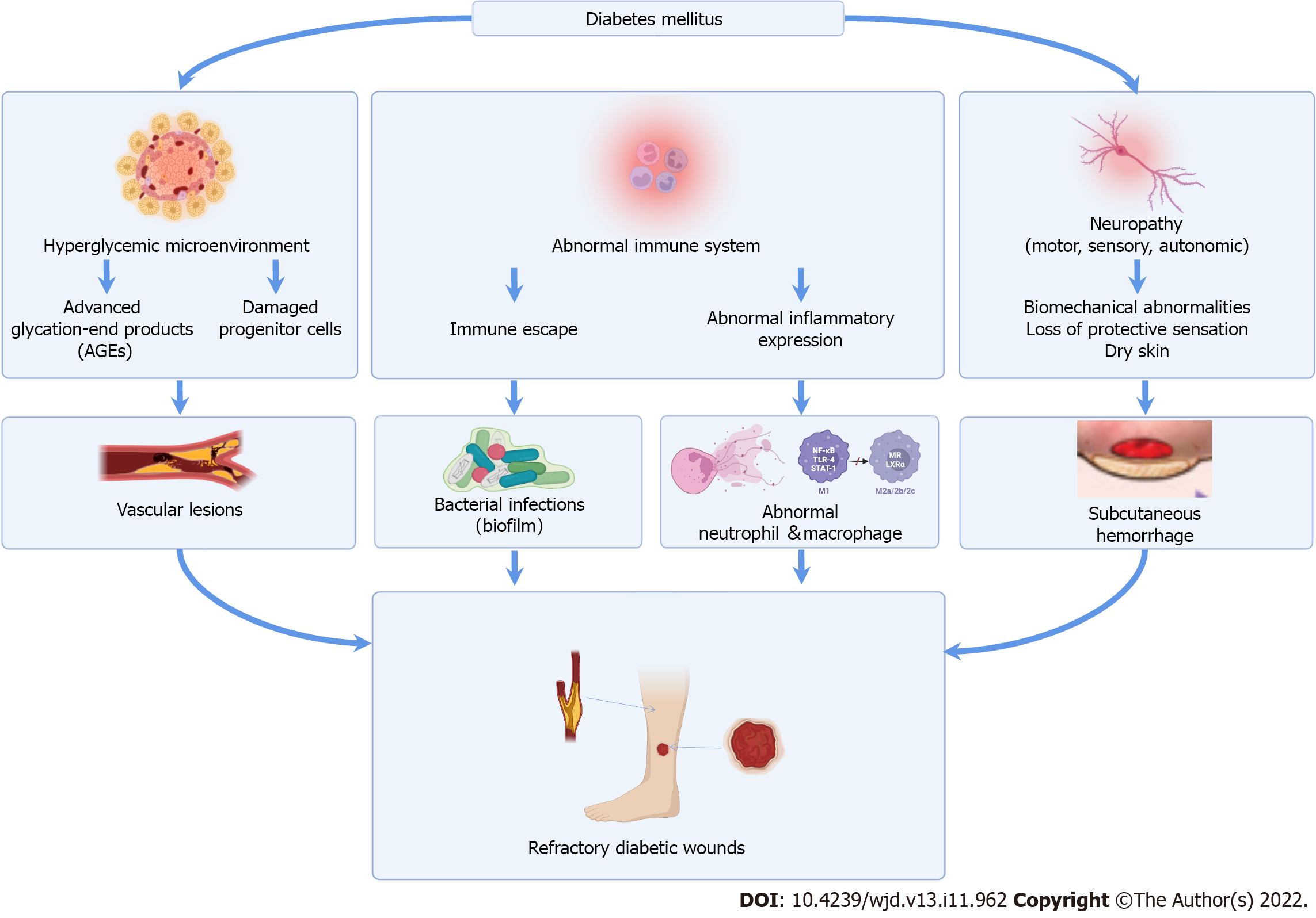 Role of defensins in diabetic wound healing