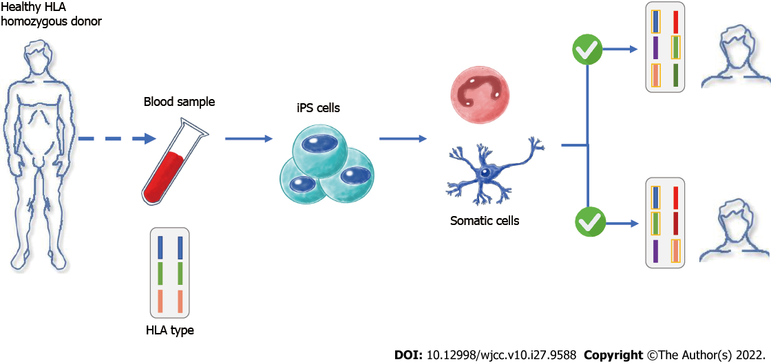 Nanotechnology in Regenerative Medicine and Cell Therapy - Leo Corps, Inc.