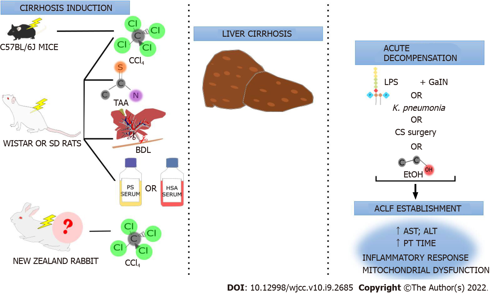 Animal models applied to acuteonchronic liver failure Are new models