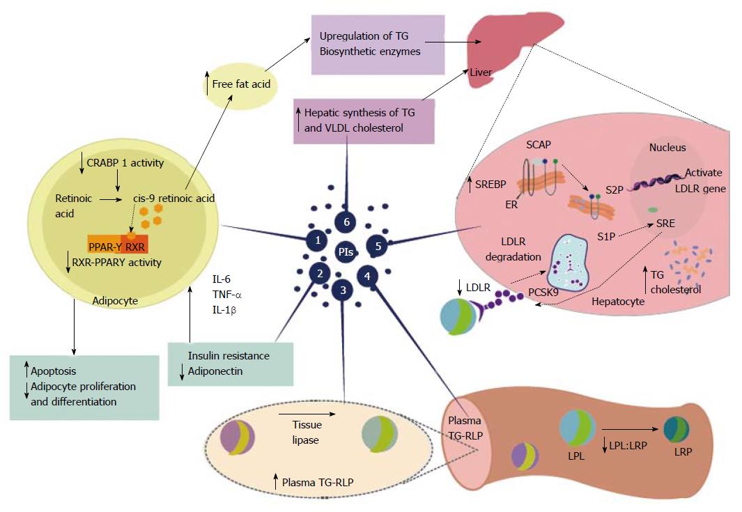 antiretroviral drugs mechanism of action