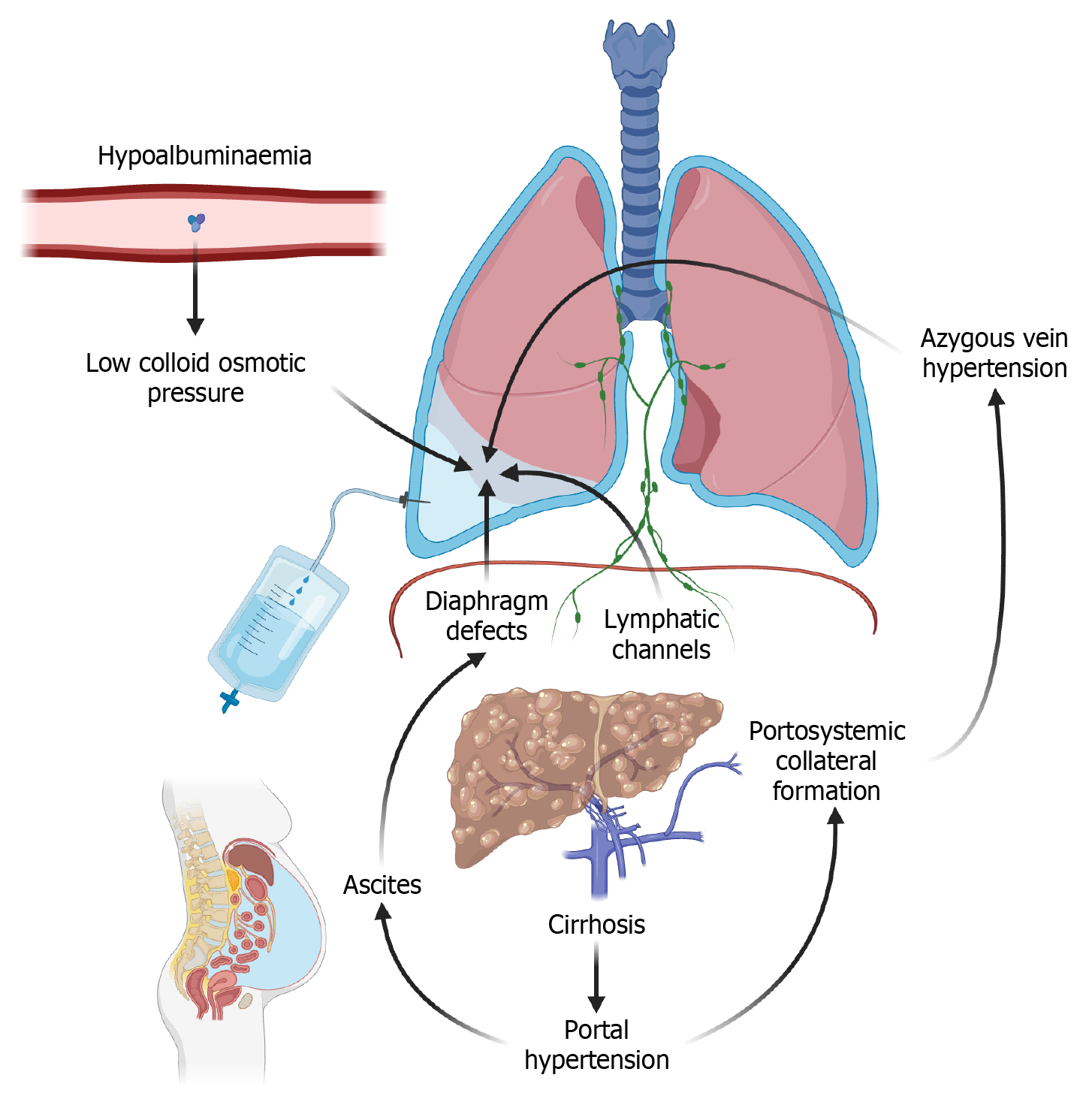 Figure 1 Figure 1