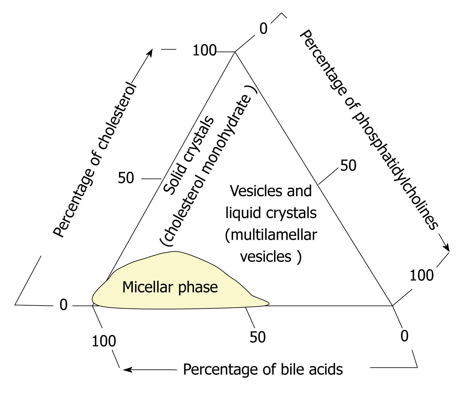 Pathophysiology Of Cholelithiasis In Flow Chart