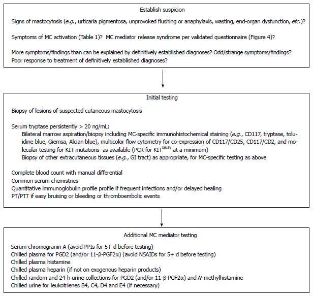 A concise, practical guide to diagnostic assessment for mast cell