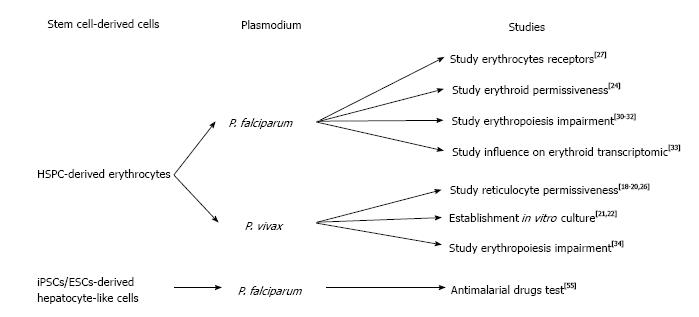 Malaria Prophylaxis Chart