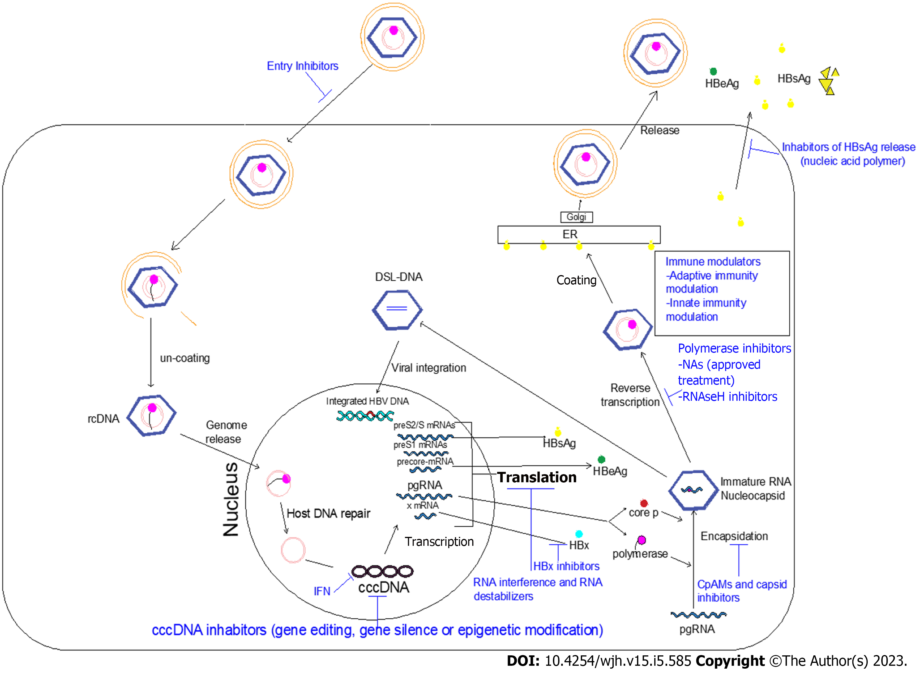 Current And Novel Modalities For Management Of Chronic Hepatitis B ...