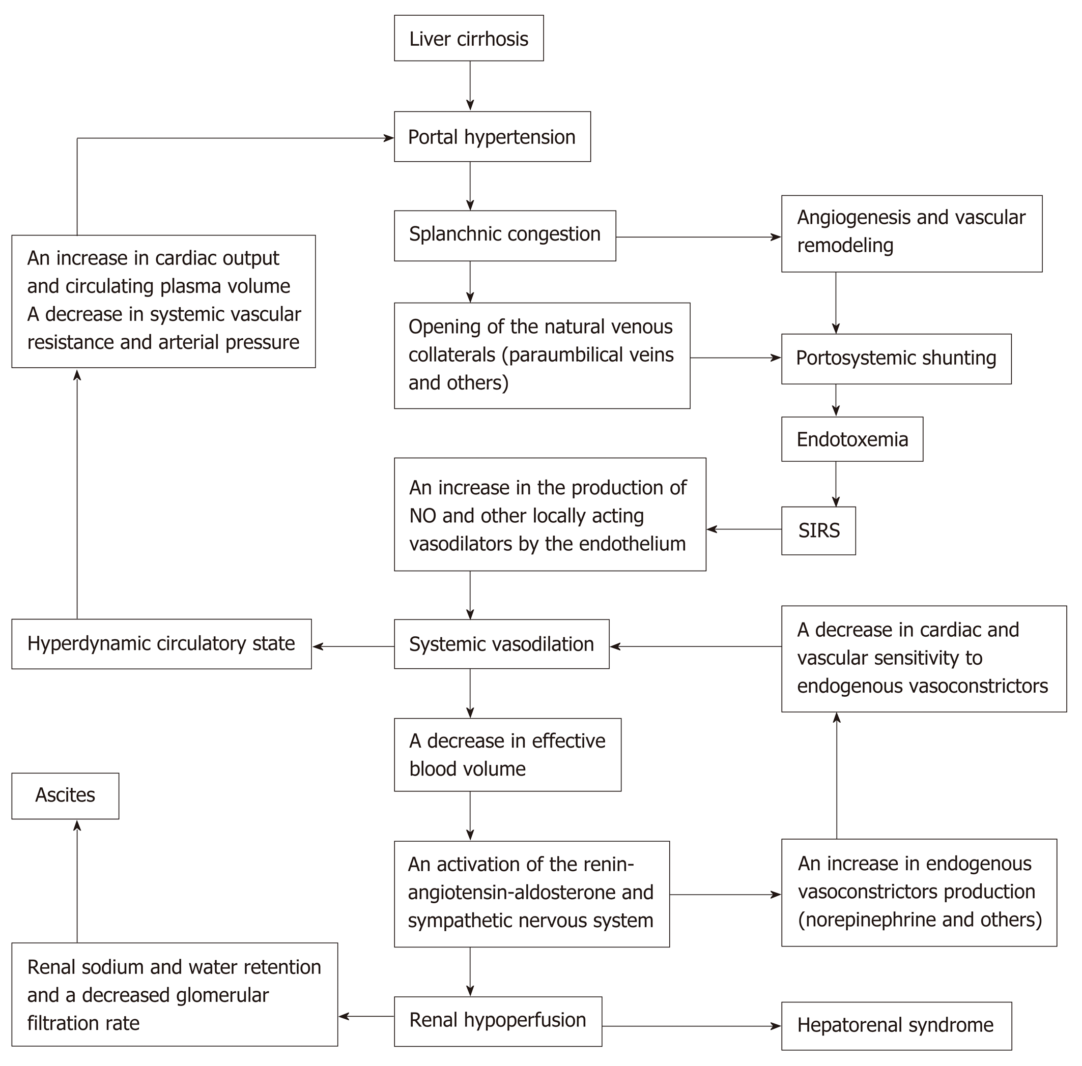 Current Approaches To The Management Of Patients With Cirrhotic Ascites