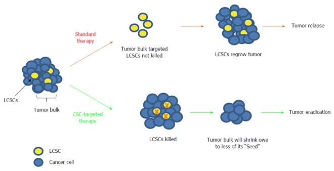 Liver Cancer Stem Cell Markers Progression And Therapeutic Implications