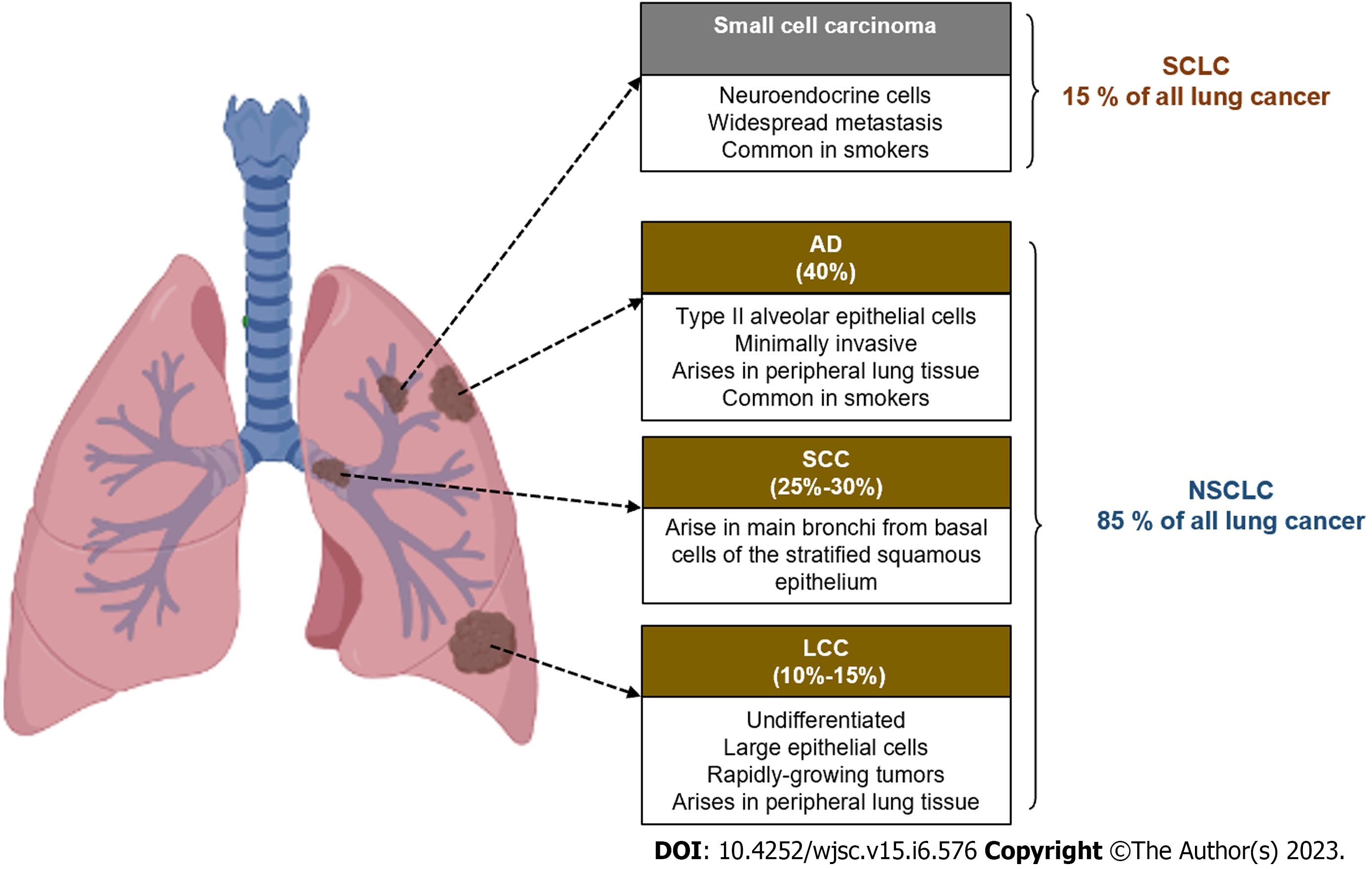 Clinical relevance of stem cells in lung cancer
