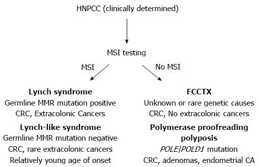 lynch syndrome chromosome