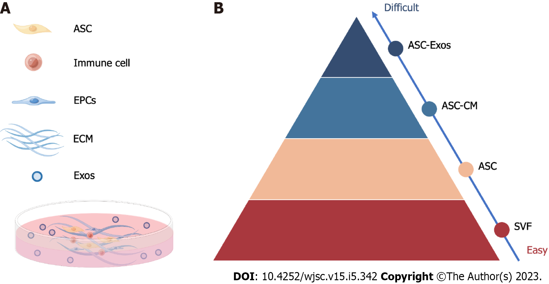 Advancements in adipose-derived stem cell therapy for skin fibrosis