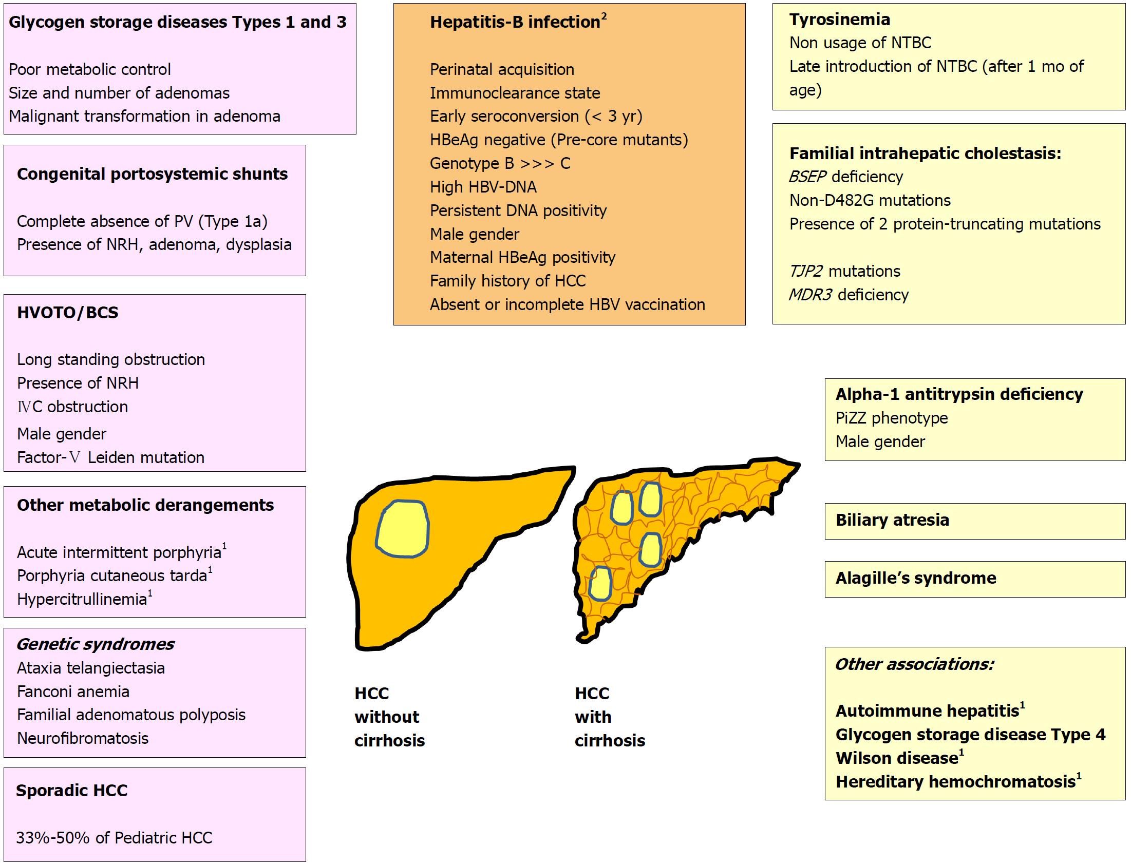 Histogenesis and Precursors