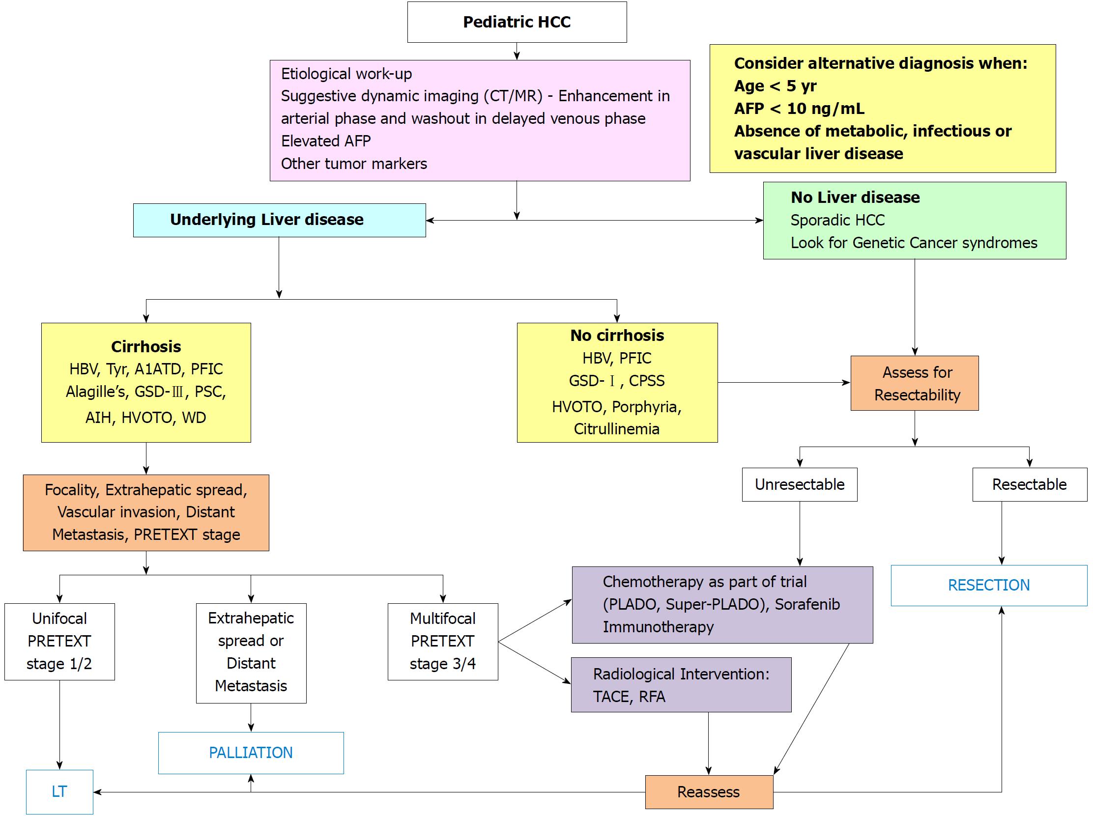 Pediatric Liver Size Chart