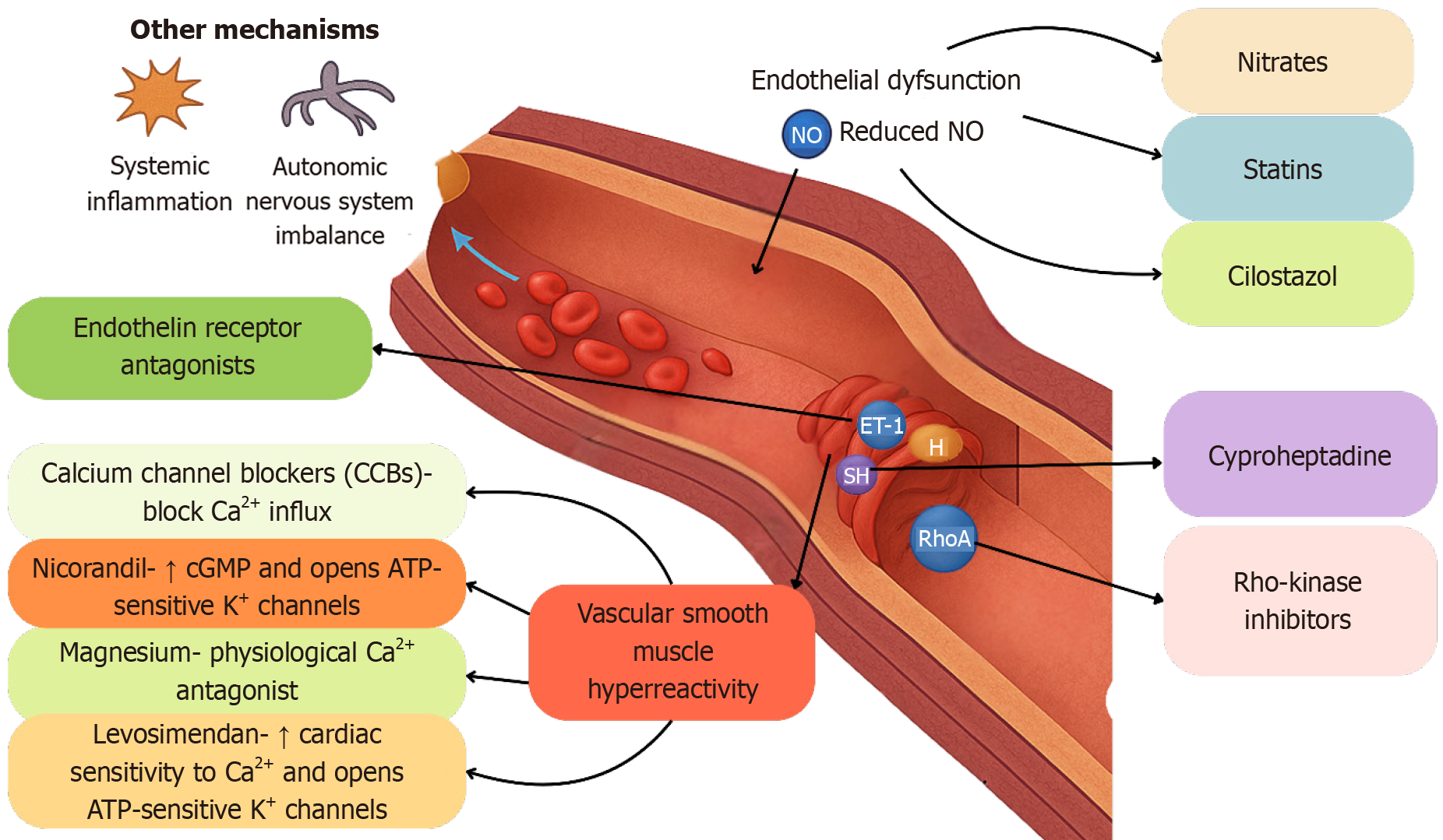 Figure 4 Figure 4