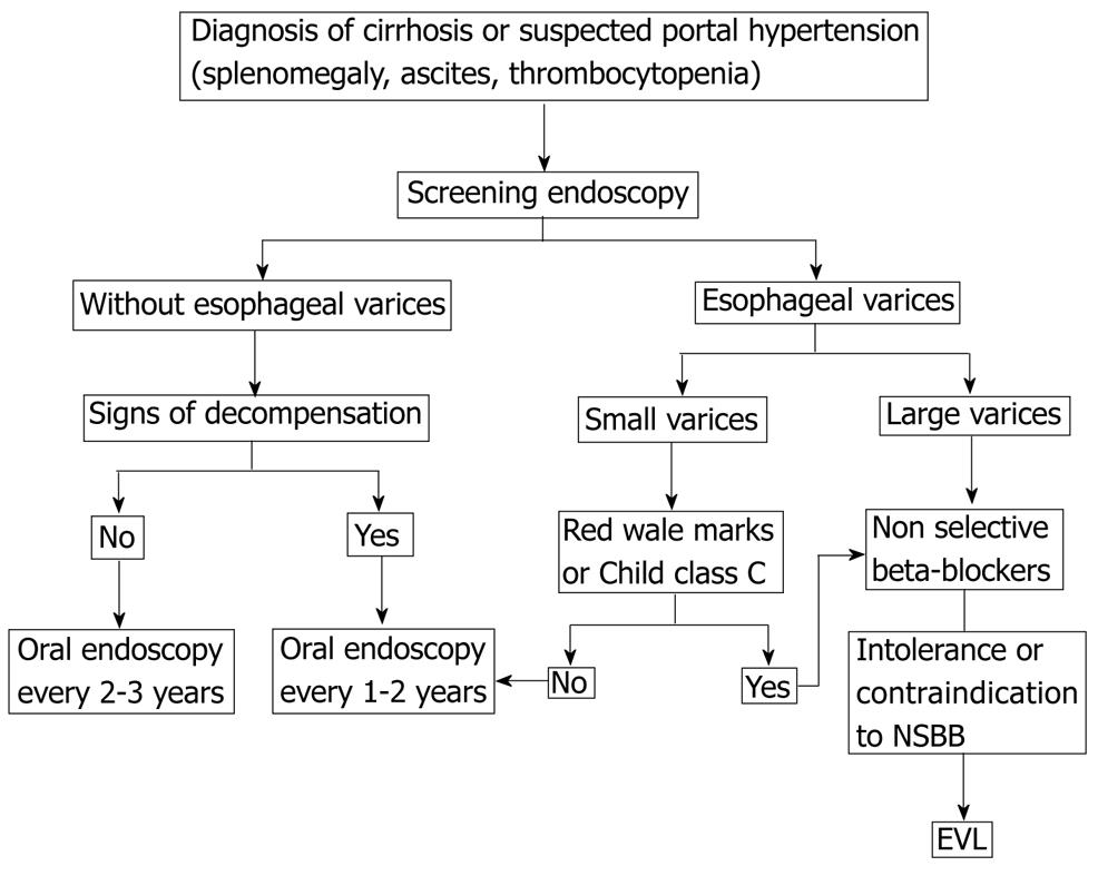 endoscopic evl