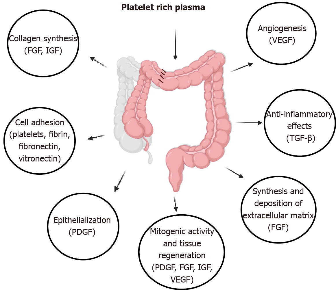 Platelet rich plasma effectiveness in bowel anastomoses: A systematic ...