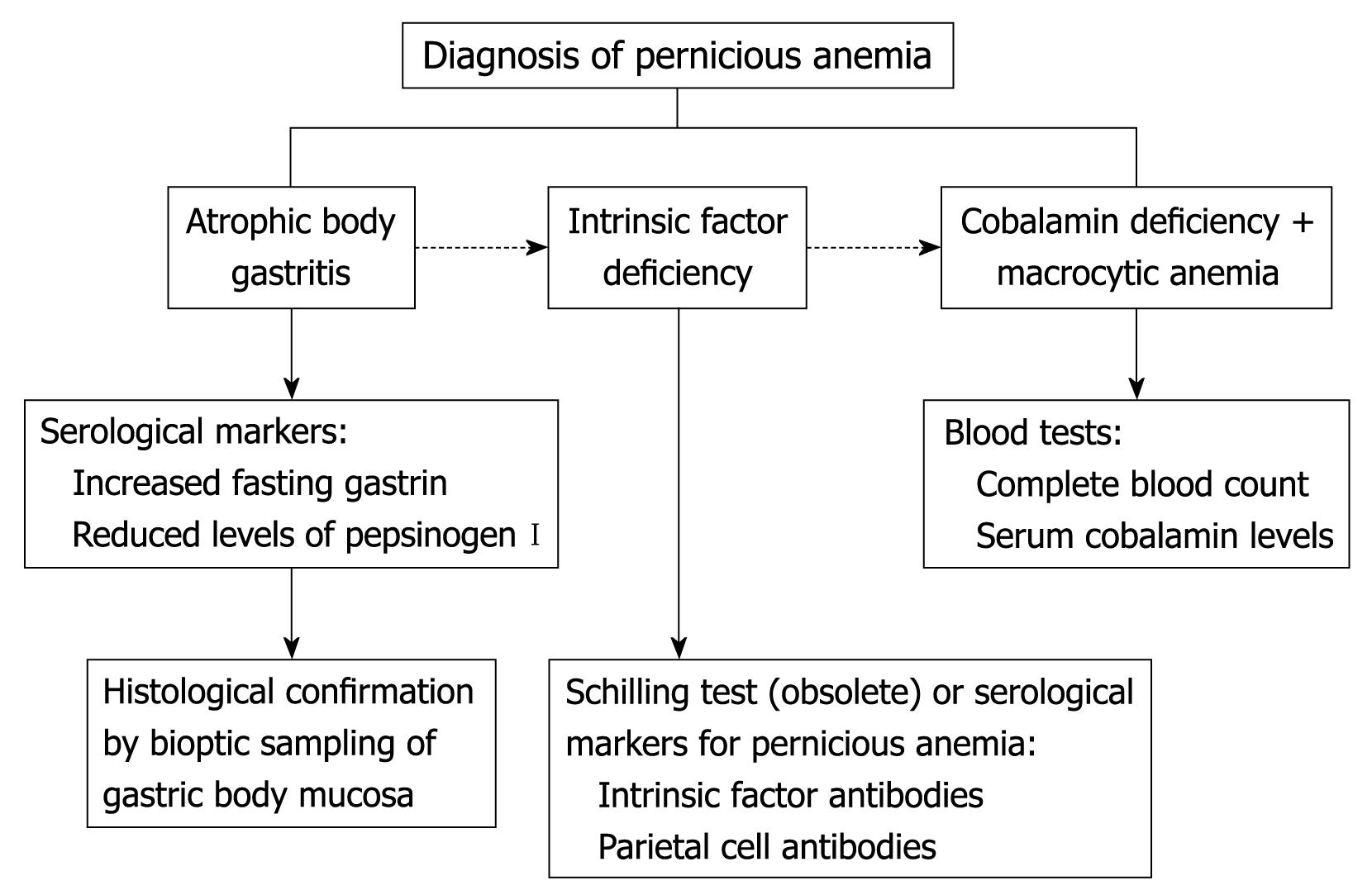 Anemia Diagnosis Chart